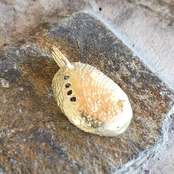 14K Solid Yellow Gold Abalone SHELL charm - Picture 4 of 15